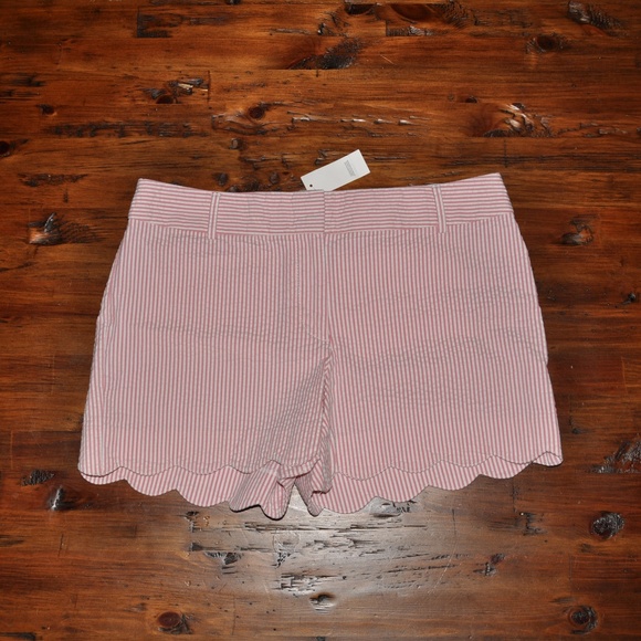 New ANN TAYLOR Seersucker Scalloped Shorts NWT E3 - Picture 4 of 8